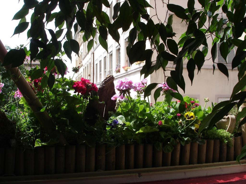 Chambres Les Soyeuses ลียง ภายนอก รูปภาพ